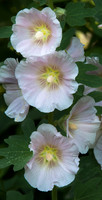 07/2011