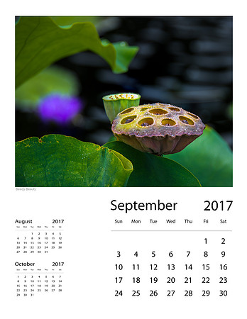 September