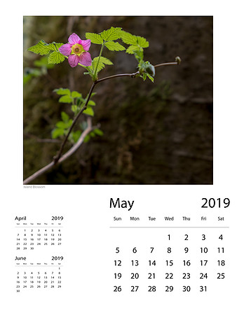 May