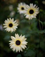 09/2011
