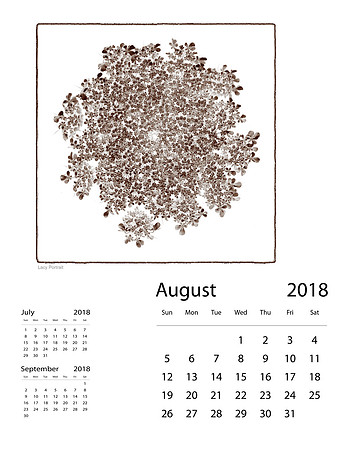 August