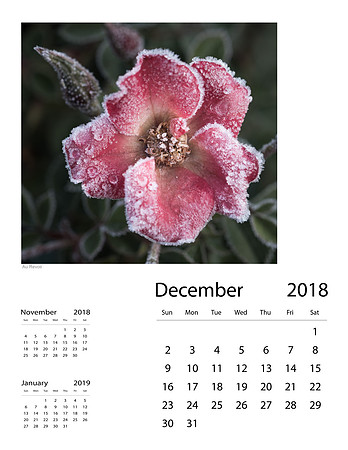 December