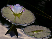 08/2011