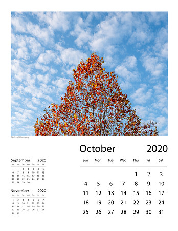 October 2020 Final
