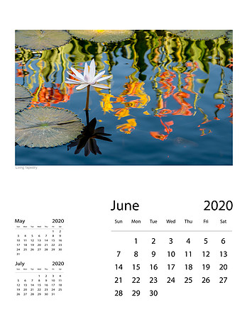 June 2020 Final