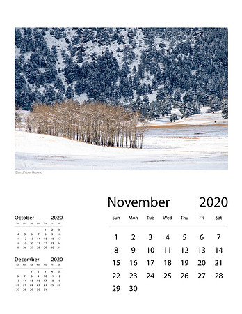 November 2020 Final