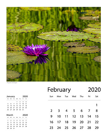 February 2020 Final