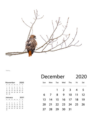 December 2020 Final