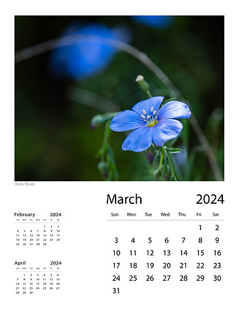 March_Final-2