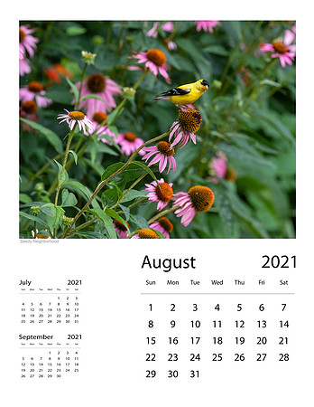 August