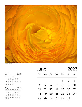 June_Final