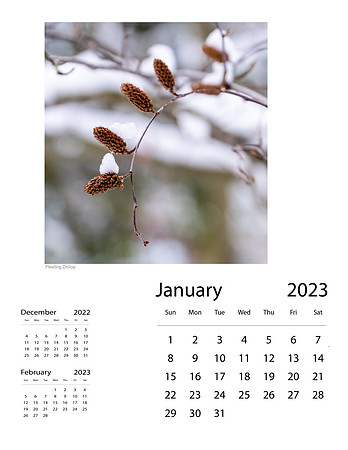 January_Final