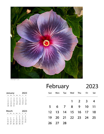 February_Final