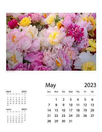 May_Final