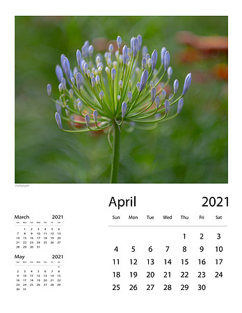 April_Final