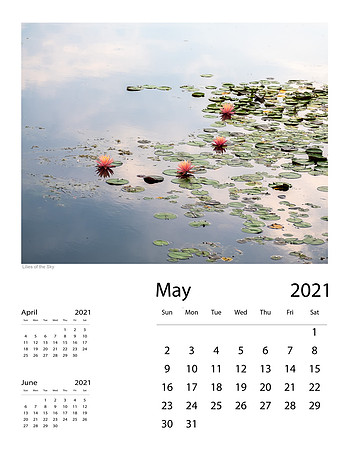 May_Final
