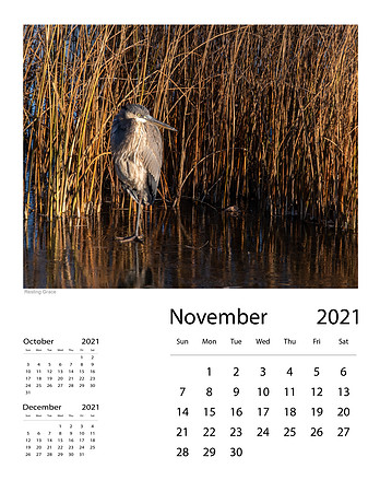 November_Final