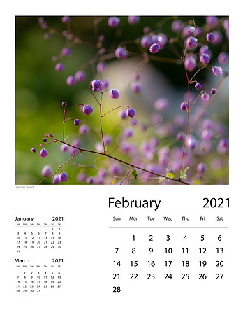 February_Final