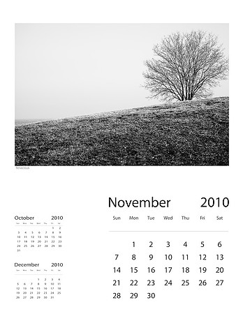 November