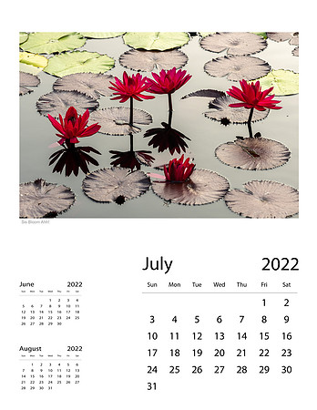 July
