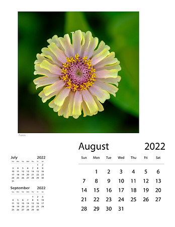August