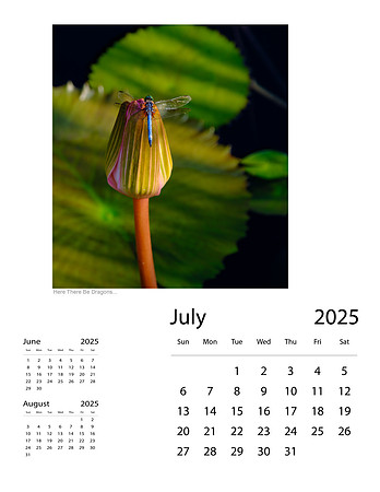 July