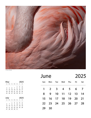 June