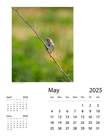 May