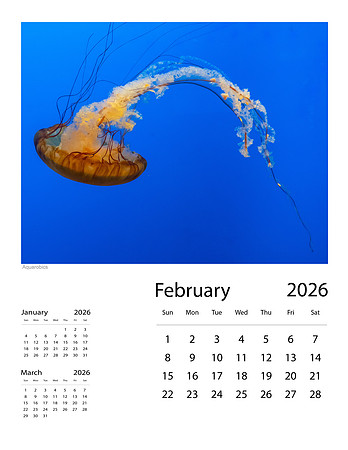 February-2