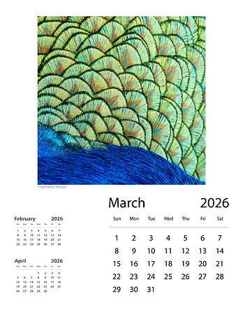 March-2