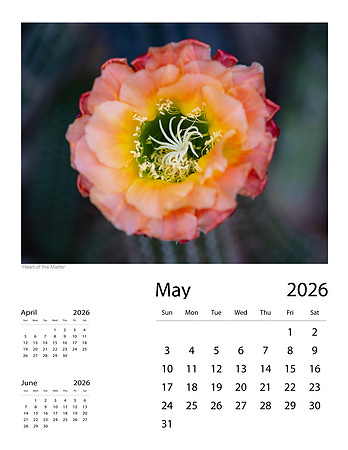 May-2
