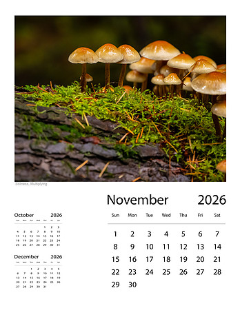 November-2