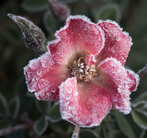 Tilden_20171113_090221