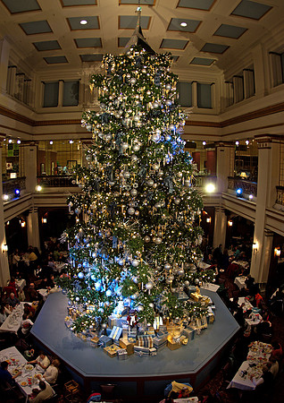 Marshall Fields' Last Tree