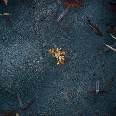 Tilden_20110219_121259